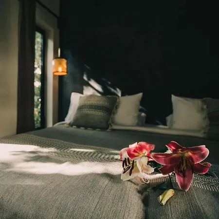 Yum Kaax Boutique Villa-3